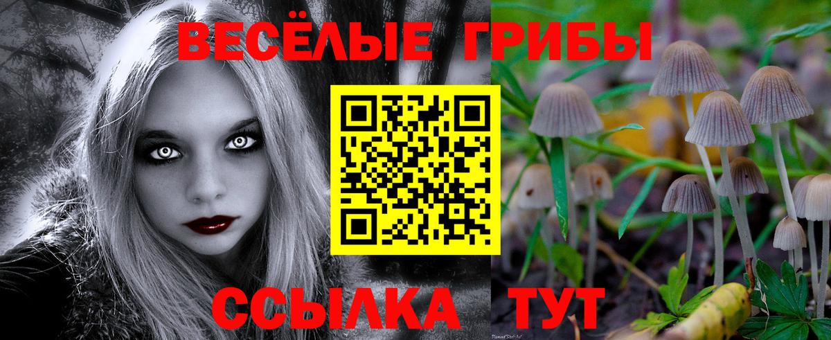Псилоцибиновые грибы Magic Shrooms  Псилоцибиновые грибы Magic Shrooms  Волхов  как найти закладки  Вход с VPN 