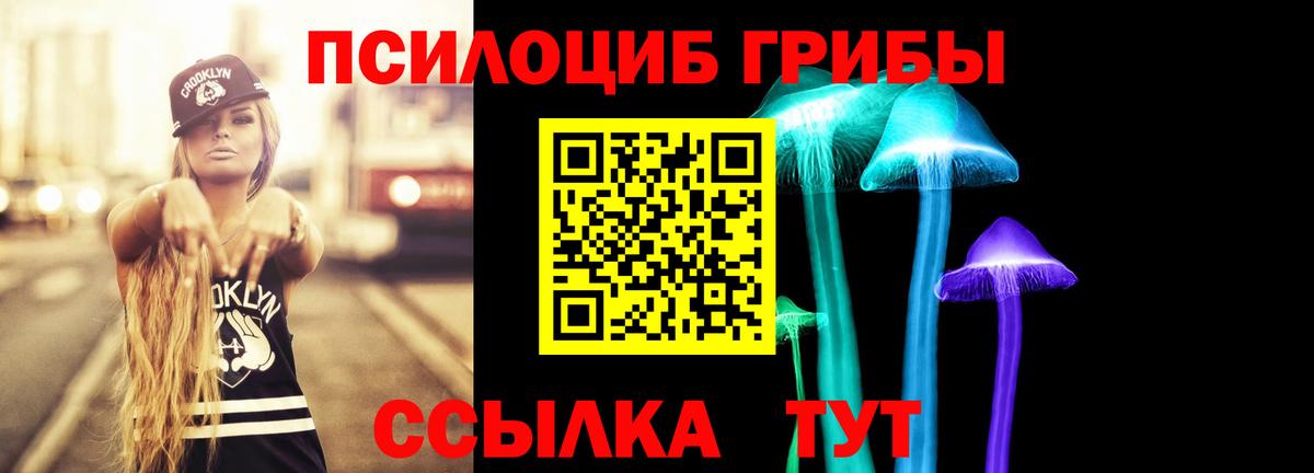 Псилоцибиновые грибы Psilocybine cubensis Волхов